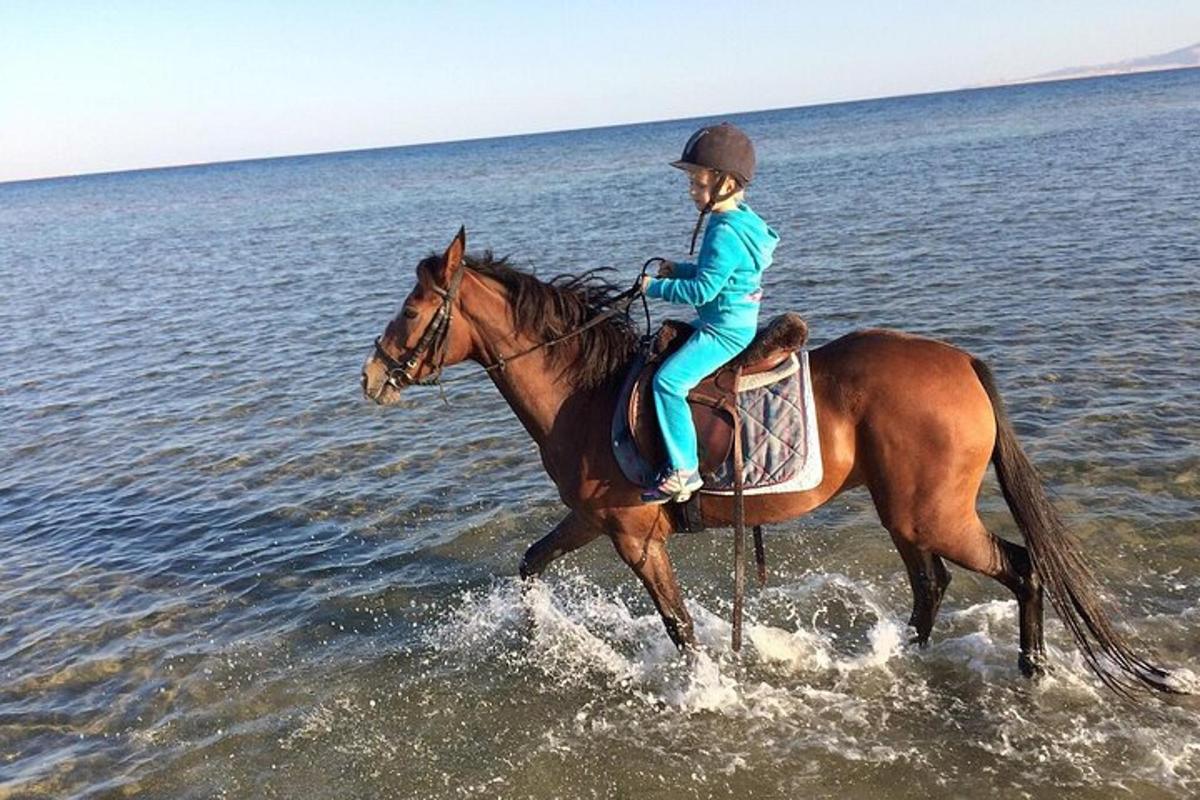 una giovane ragazza a cavallo nell'acqua