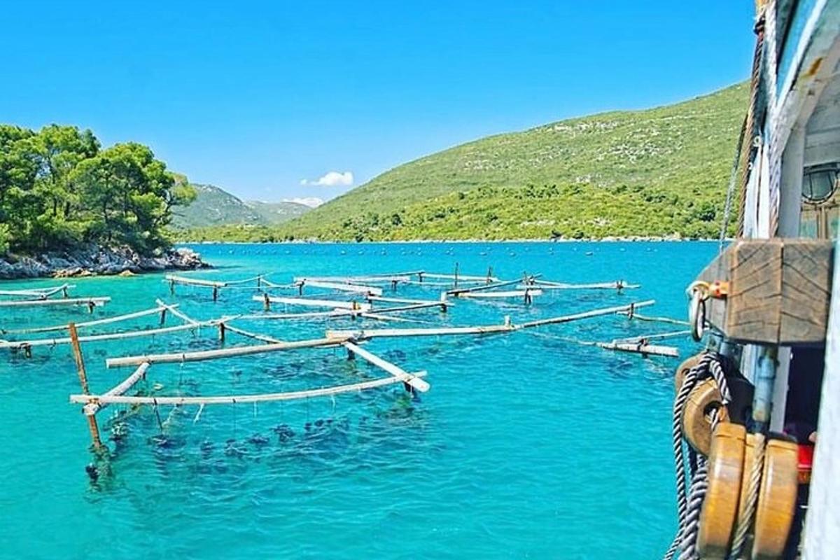 un gruppo di barche sedute in acqua