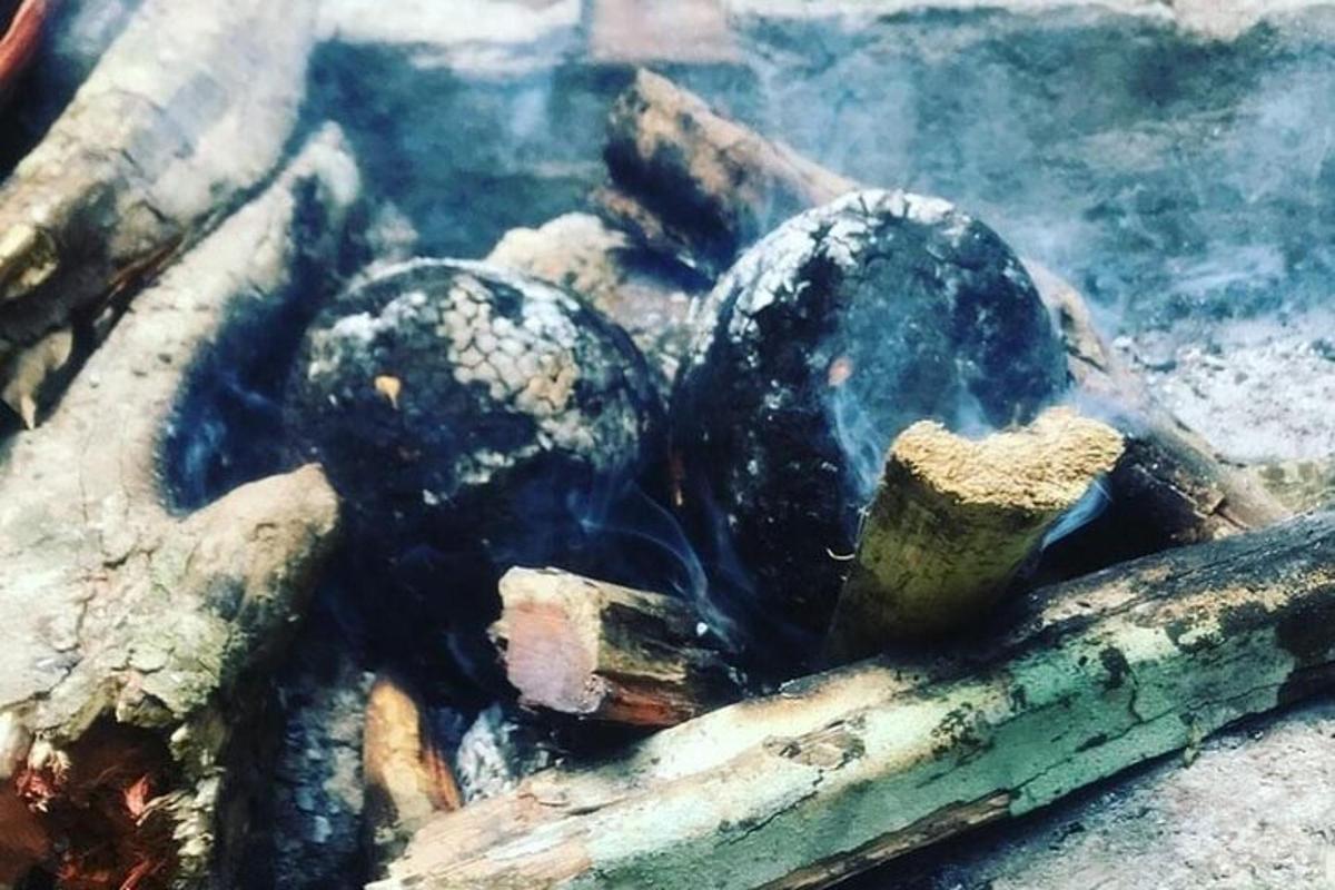 two balls sitting on top of a pile of logs