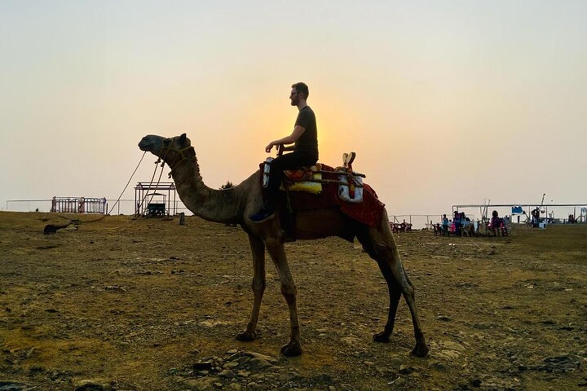 a man sitting on a camel in a field