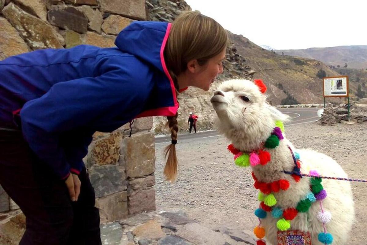 a woman looking at a llama wearing a necklace