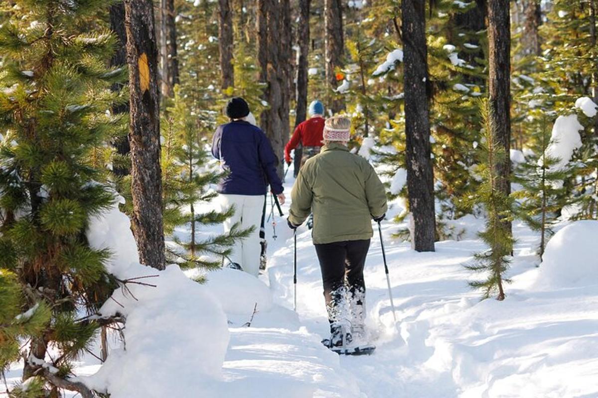 tiga orang bermain ski merentas desa melalui hutan yang dilitupi salji