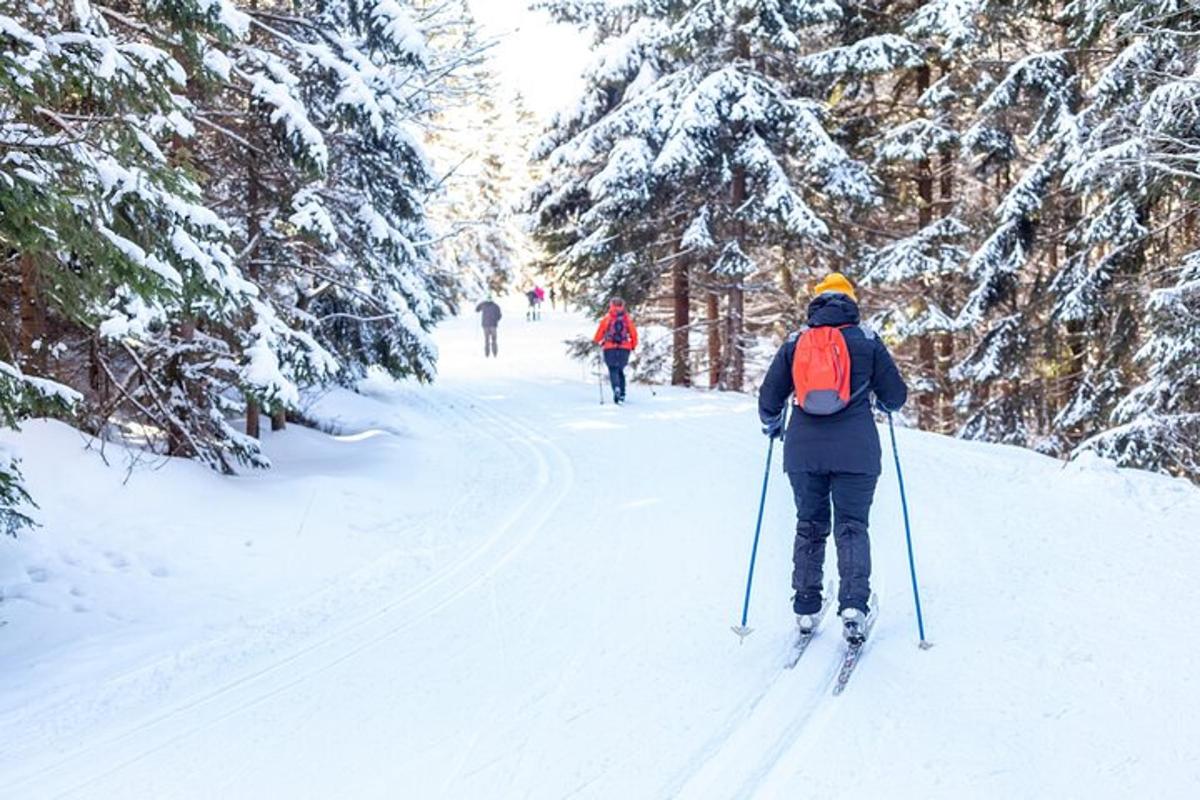 seseorang sedang bermain ski merentas desa menuruni denai yang dilitupi salji