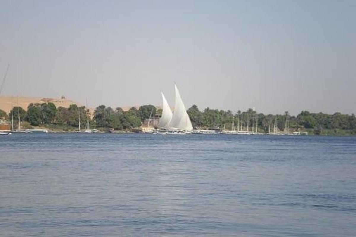 قارب شراعي ذو شراع أبيض على الماء