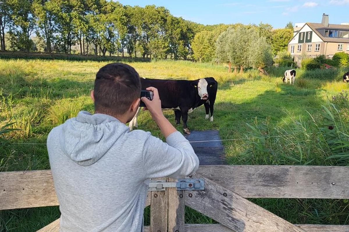 un uomo che scatta una foto di una mucca su una recinzione