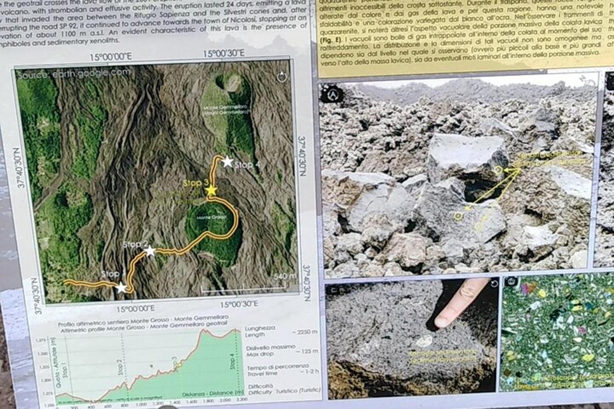 una pagina di un libro con un albero e una mappa