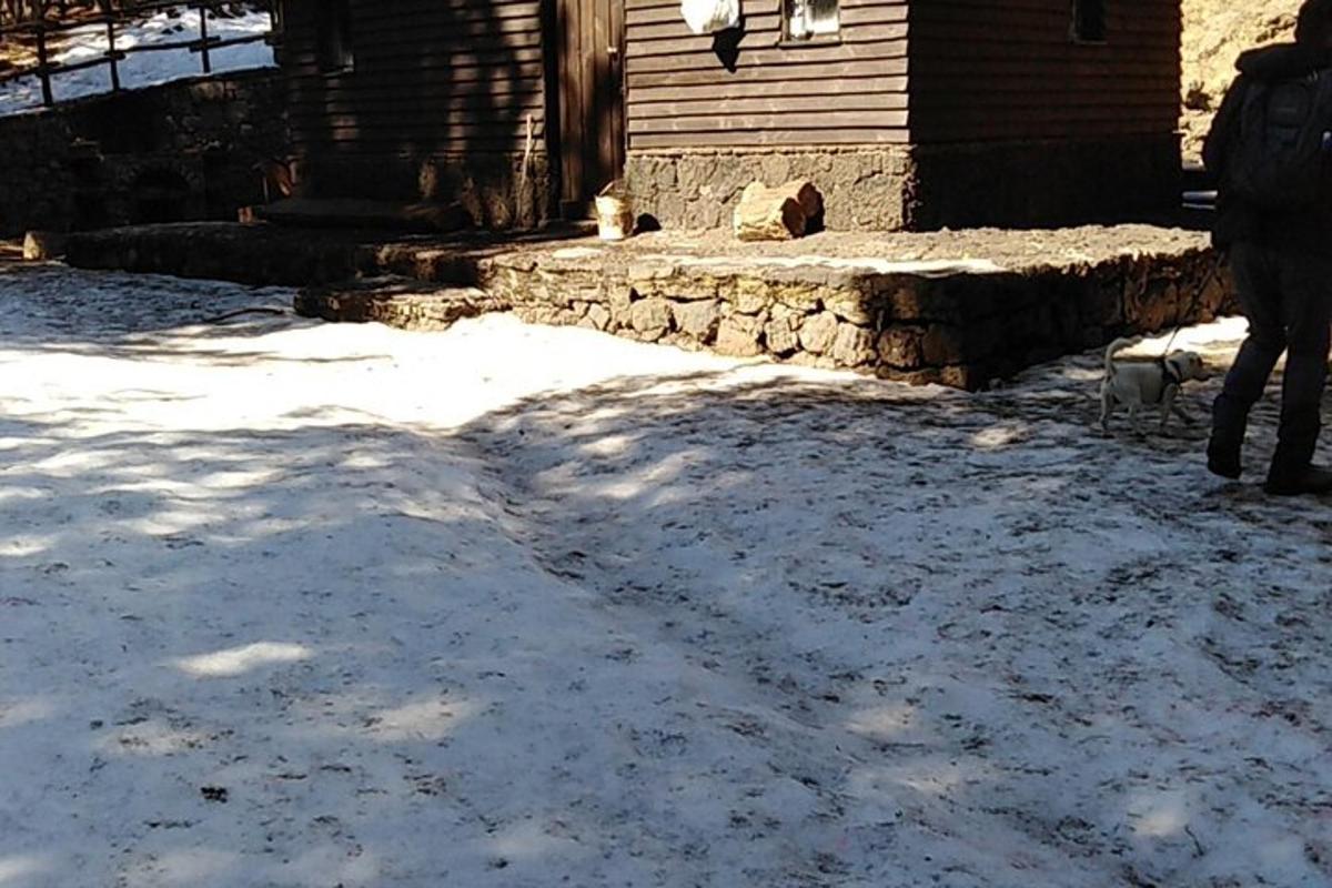 una persona paseando a un perro en la nieve