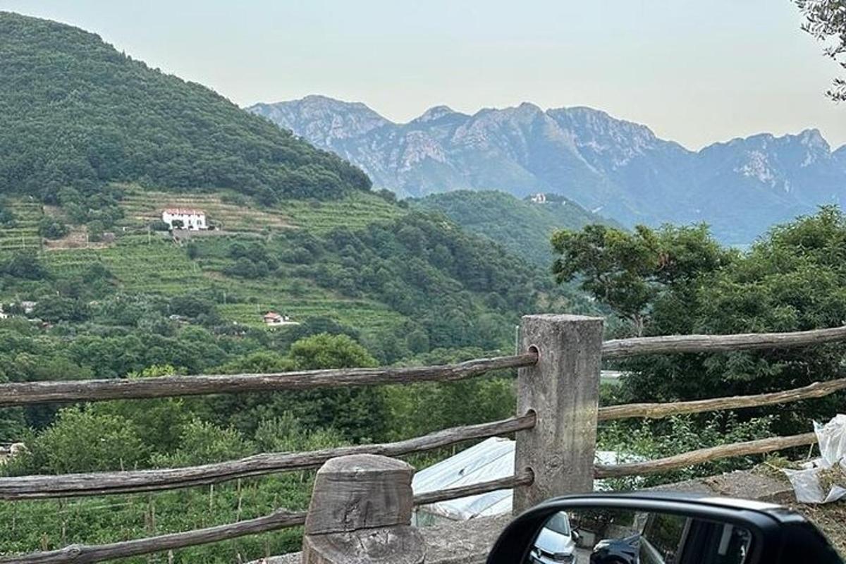 Un coche aparcado junto a una valla con montañas al fondo.