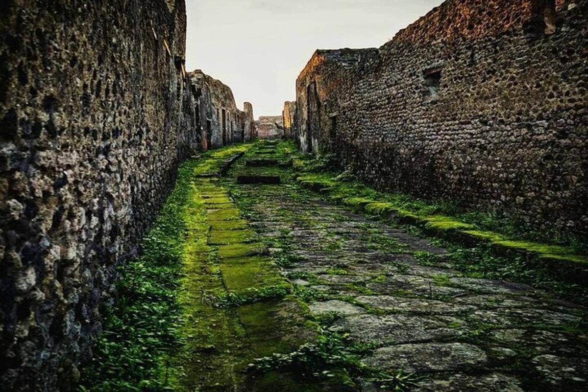 lorong antara dua dinding bata besar dengan rumput