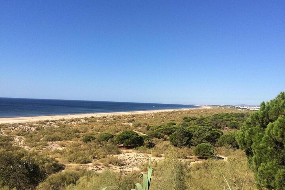 una vista di una spiaggia con l'oceano sullo sfondo