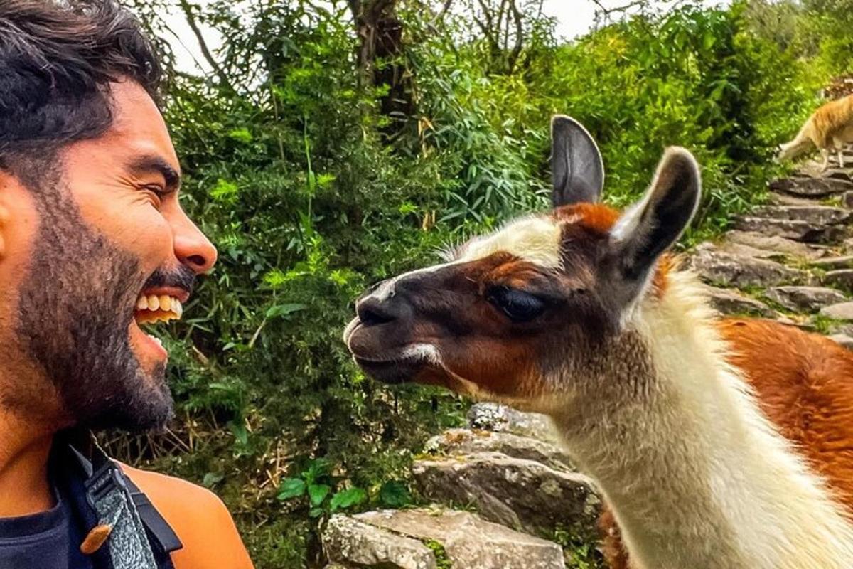 un bărbat stă lângă o lamă