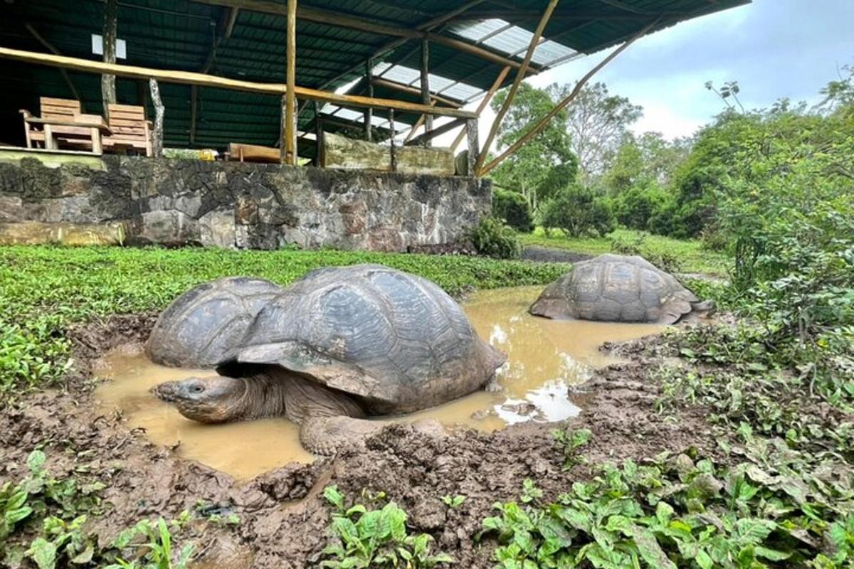 Foto 1 da atração