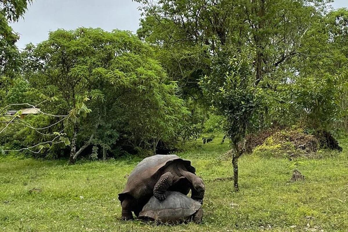 Fotografia da atração 7