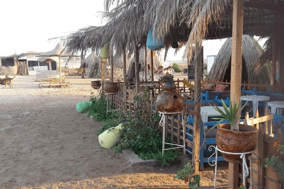 eine Hütte mit Pflanzen und Topfpflanzen an einem Strand