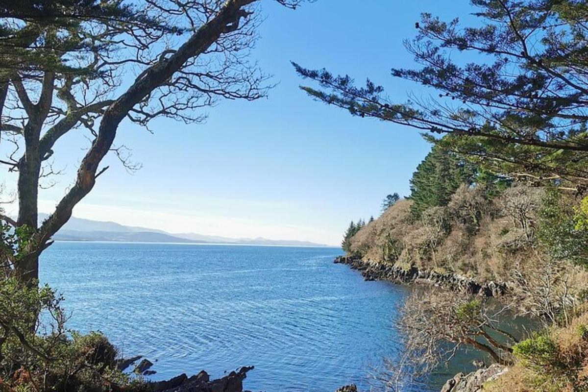 一大片水景和树木