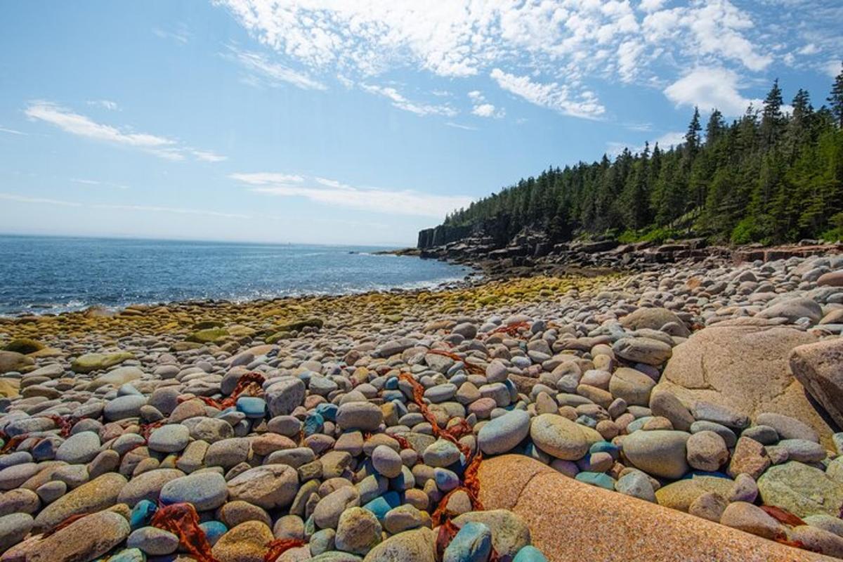 a large pile of rocks on a rocky beach
