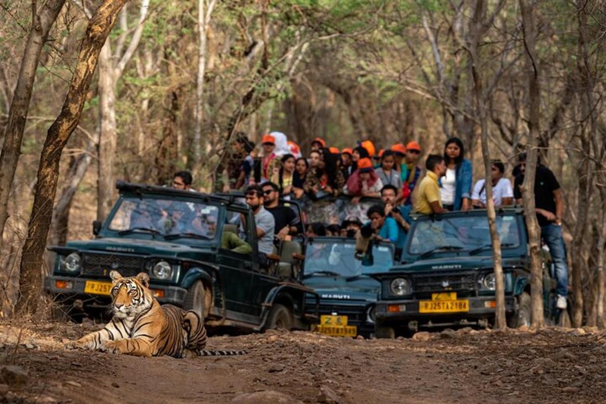 a group of people in a truck with a tiger