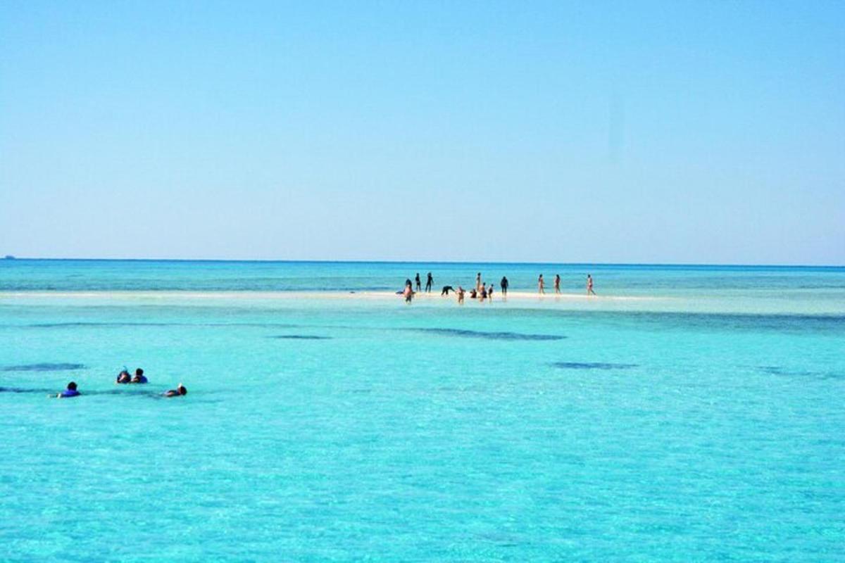 un gruppo di persone in acqua sulla spiaggia