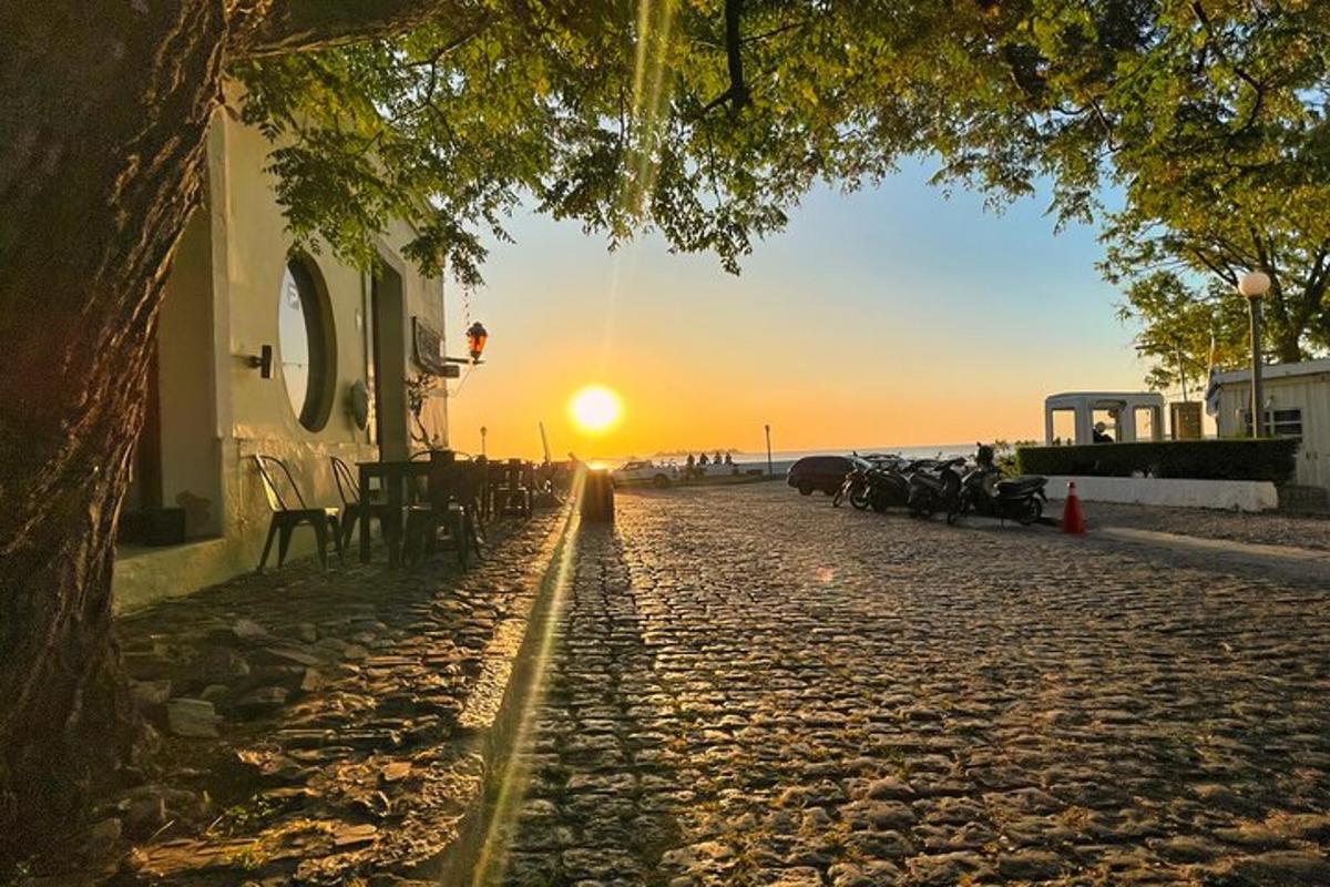 Una puesta de sol en una calle adoquinada con un árbol.