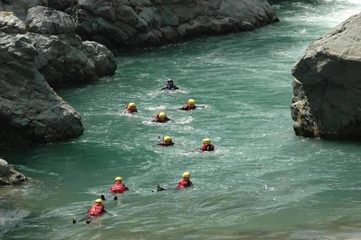 un gruppo di persone che nuotano in un fiume