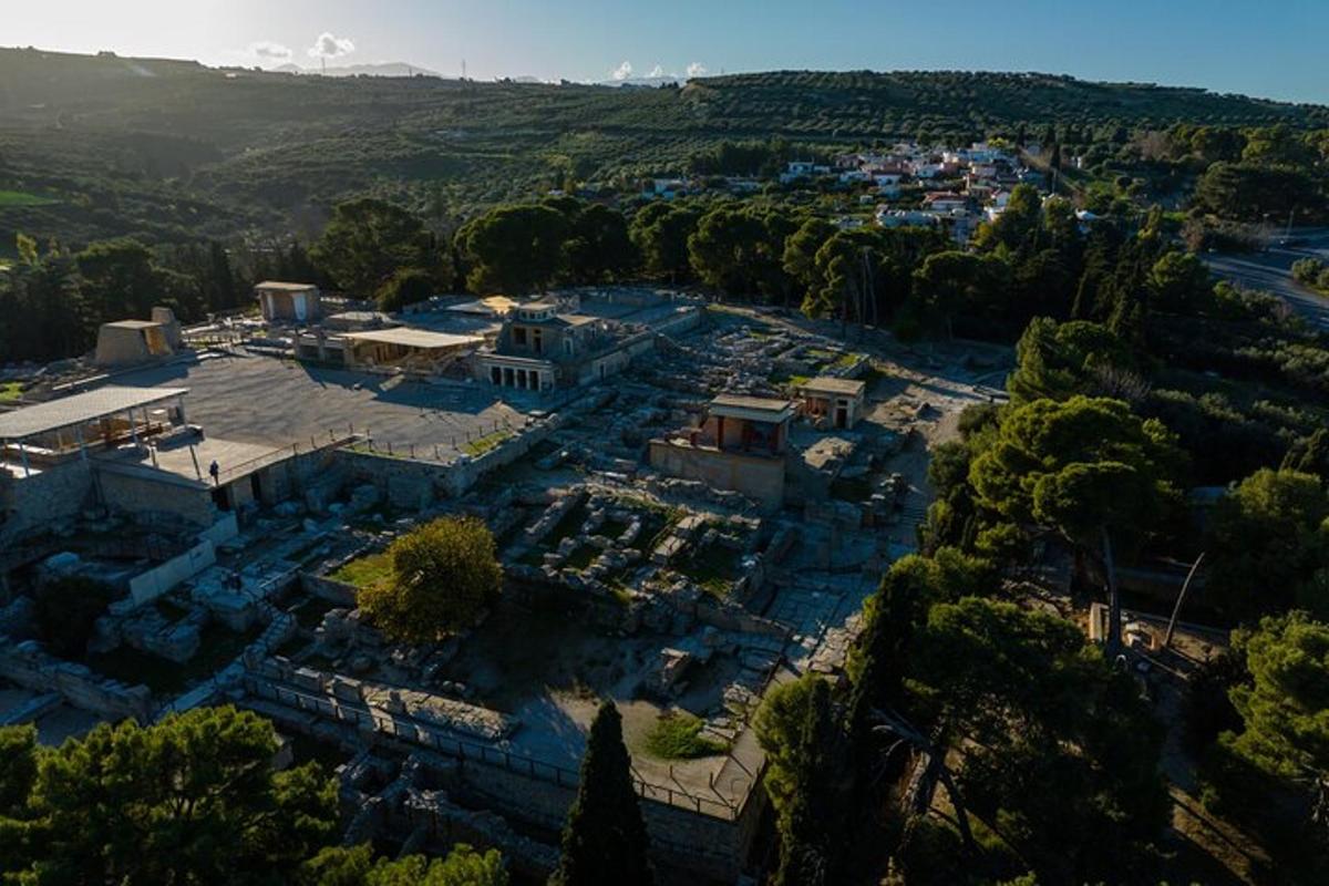 una vista dall'alto di una città con alberi ed edifici