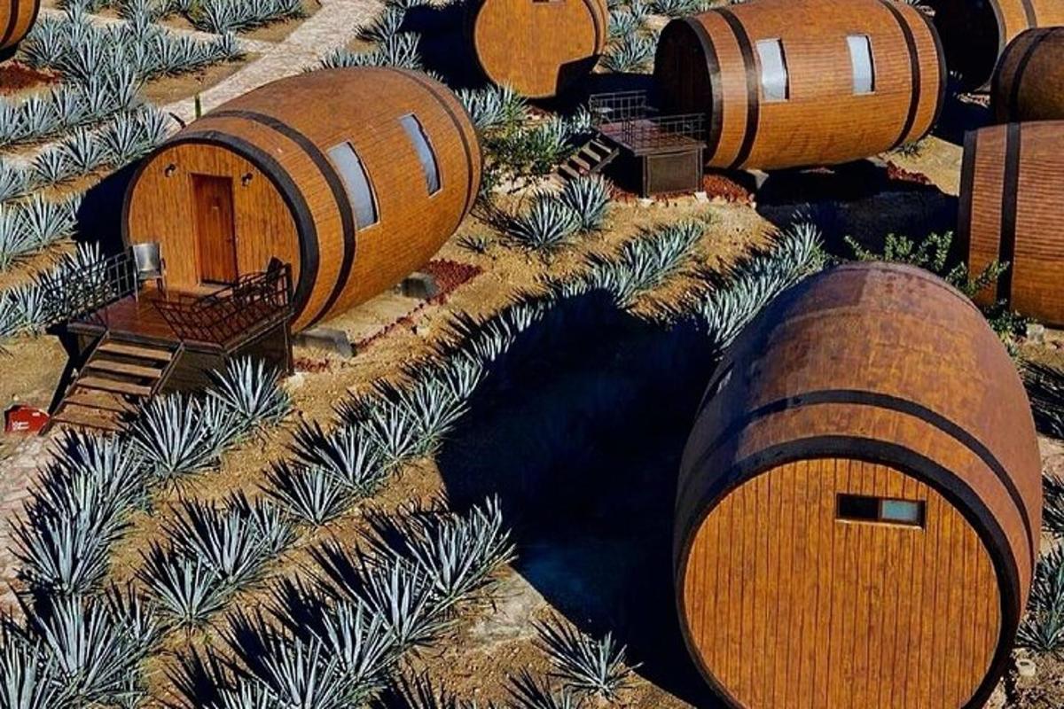 نموذج لغابة بها منازل دائرية خشبية