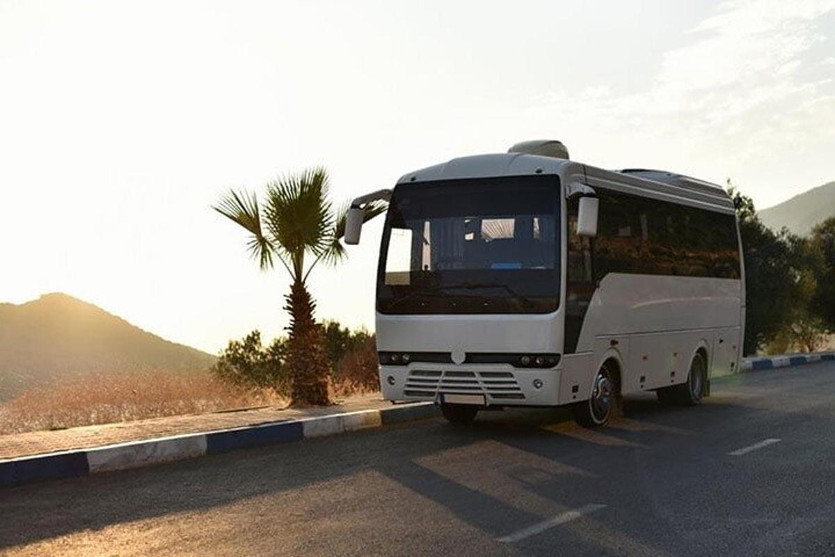 Bel avtobus, ki se vozi po cesti s palmo