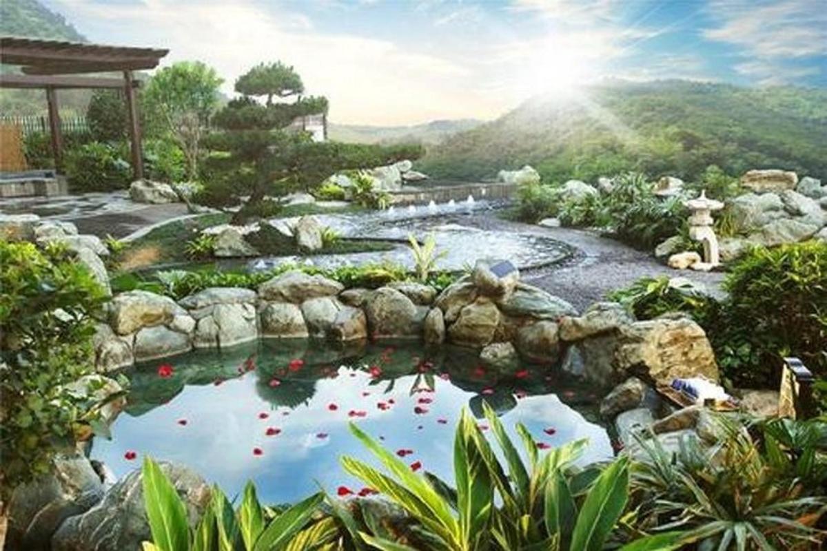 un estany de koi en un jardí amb muntanyes al fons