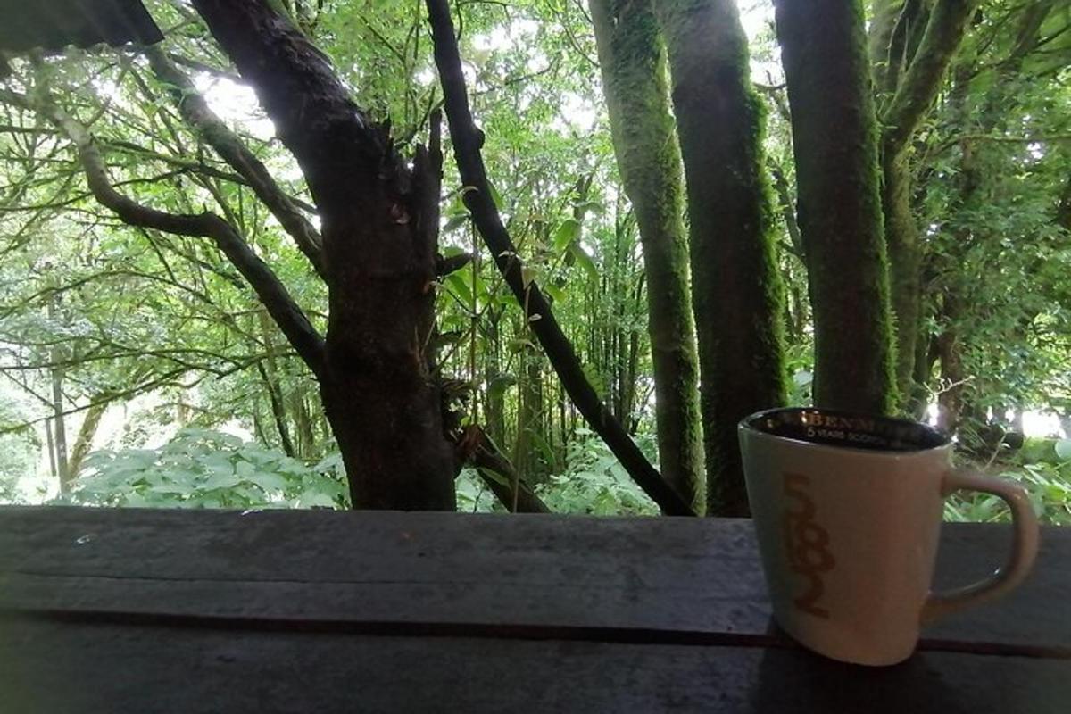 una tazza di caffè appoggiata su un tavolo davanti a un albero