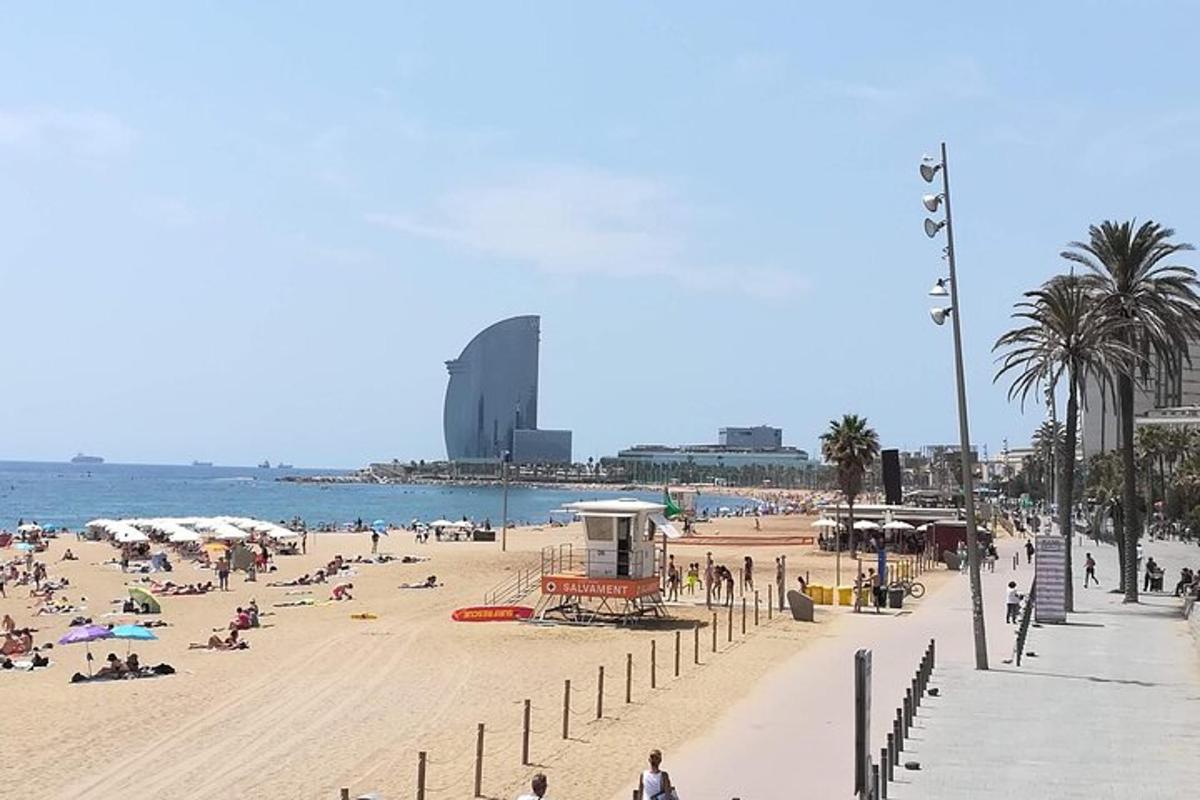 a beach with a lot of people on it