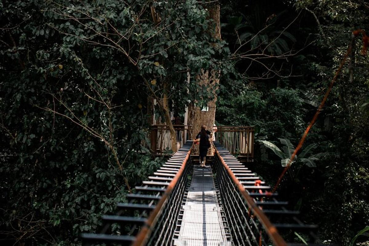 eine Person, die im Wald über eine Brücke geht