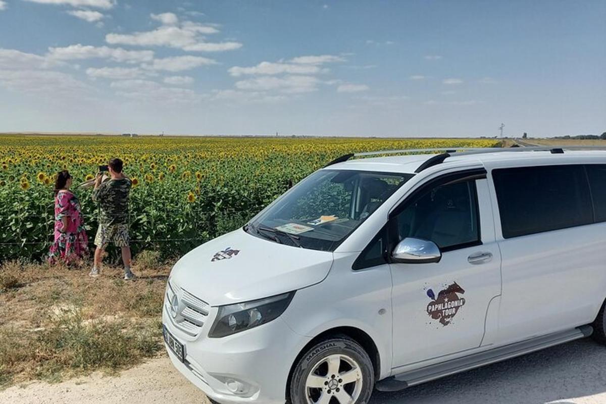 Fotografia da atração 4