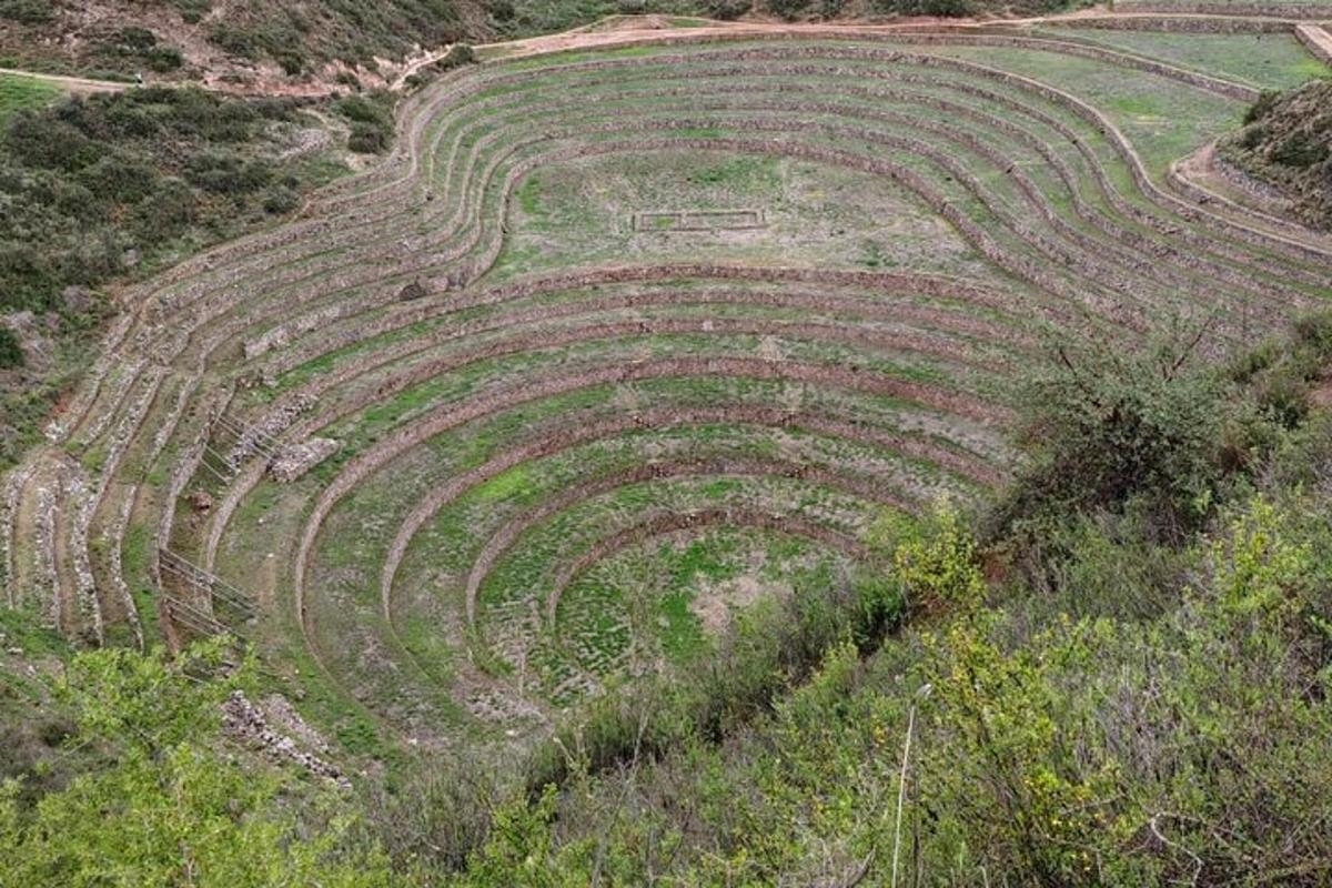 Un antiguo anfiteatro en un campo sobre una colina