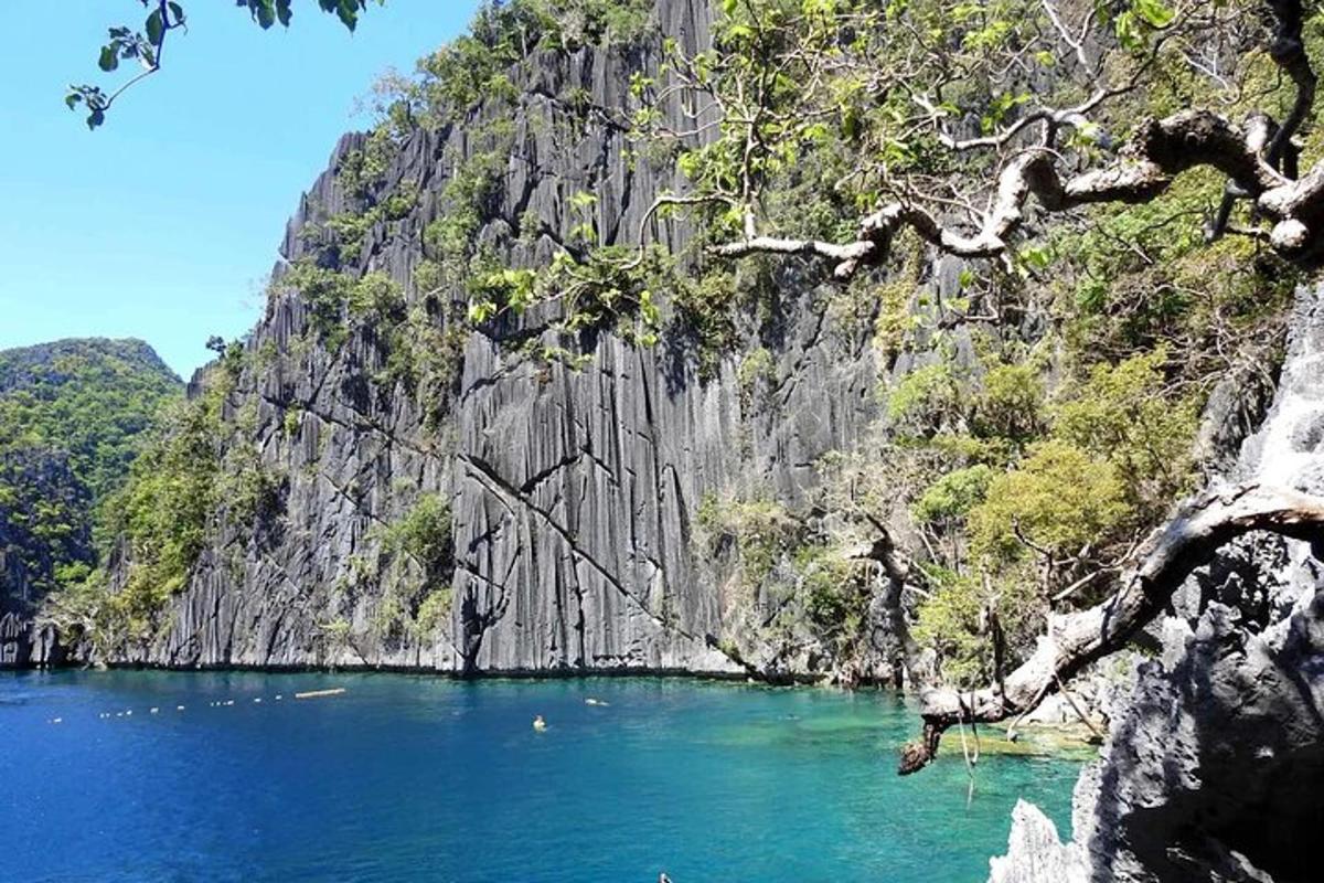 a view of a lake in front of a mountain