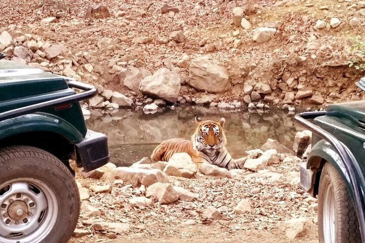 Turistik nokta fotoğrafı 3