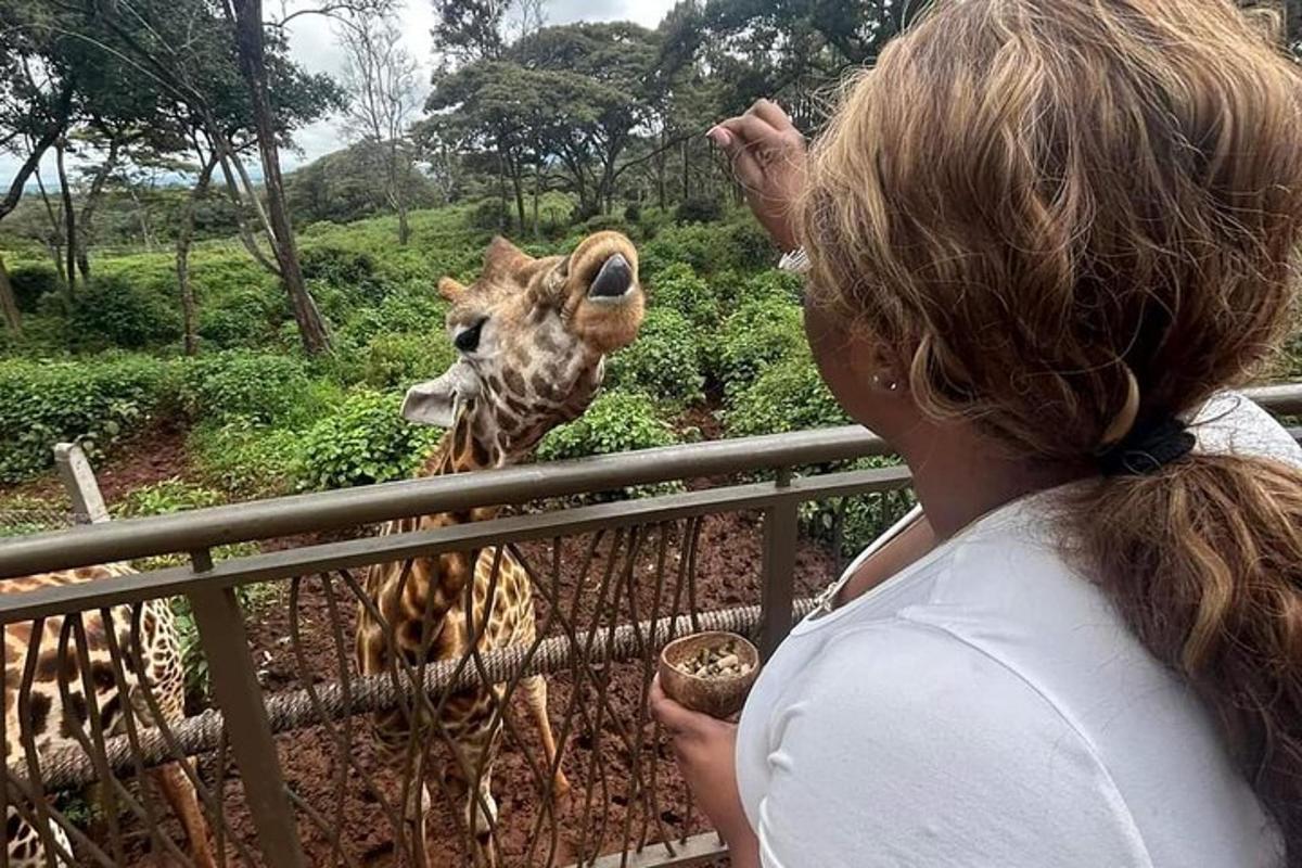 uma mulher está olhando para uma girafa em um zoológico