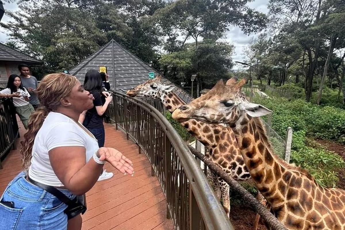una donna sta scattando una foto a due giraffe