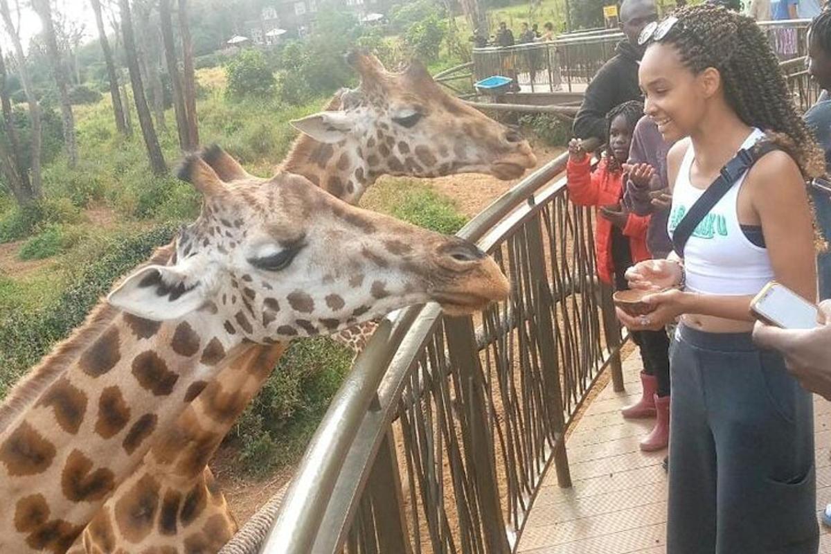 uma mulher alimentando duas girafas em um zoológico