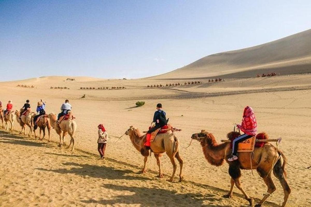 Un grupo de personas montando a caballo en el desierto.