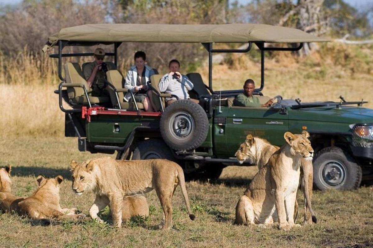 un grup de persones en un jeep verd amb lleons