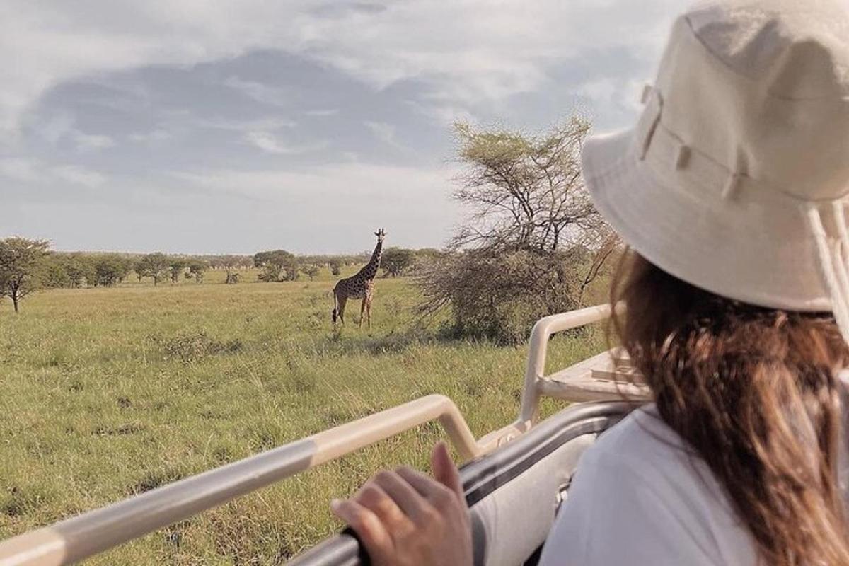a woman riding in a vehicle looking at a giraffe