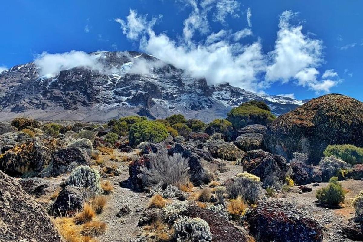 una montagna in mezzo a un deserto con piante