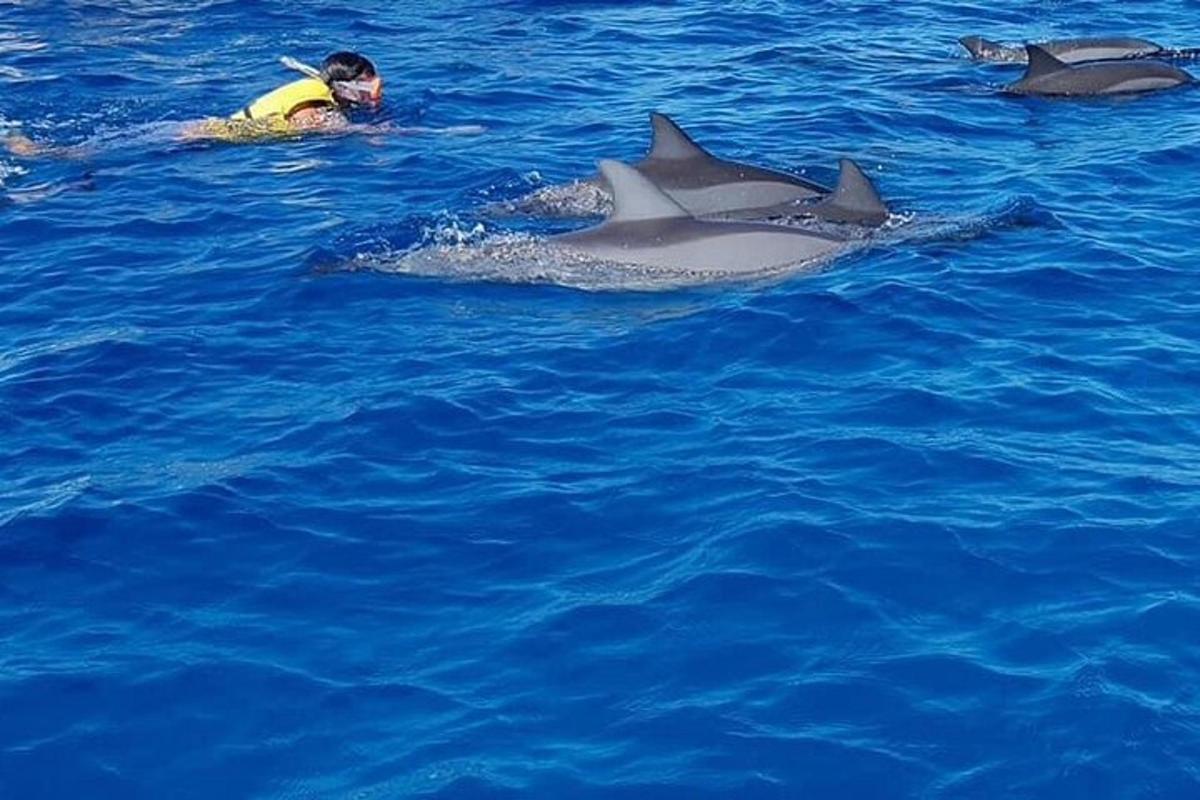 Ένας άντρας κολυμπάει στο νερό με τρία δελφίνια
