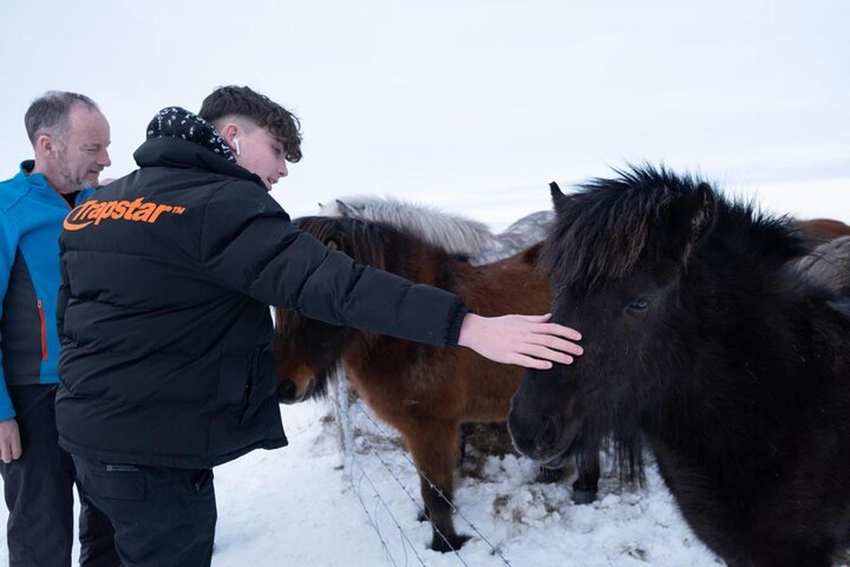 二人の男が雪の中で馬を撫でている