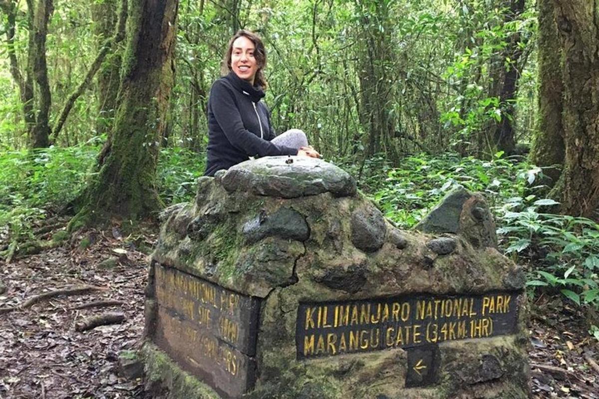 una dona asseguda a sobre d'un rètol al bosc