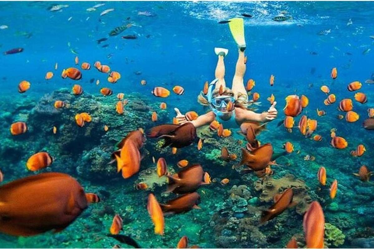 žena plave v oceánu s hejnem ryb