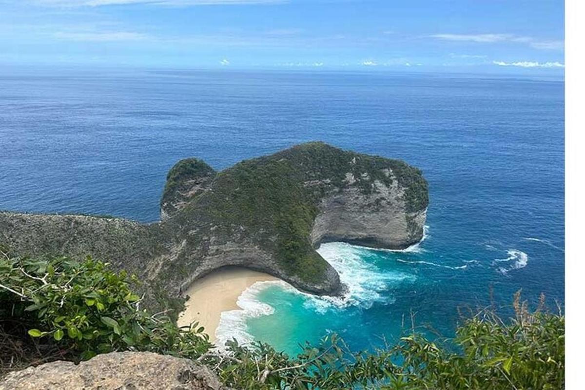 an island with a statue of a dog on a beach