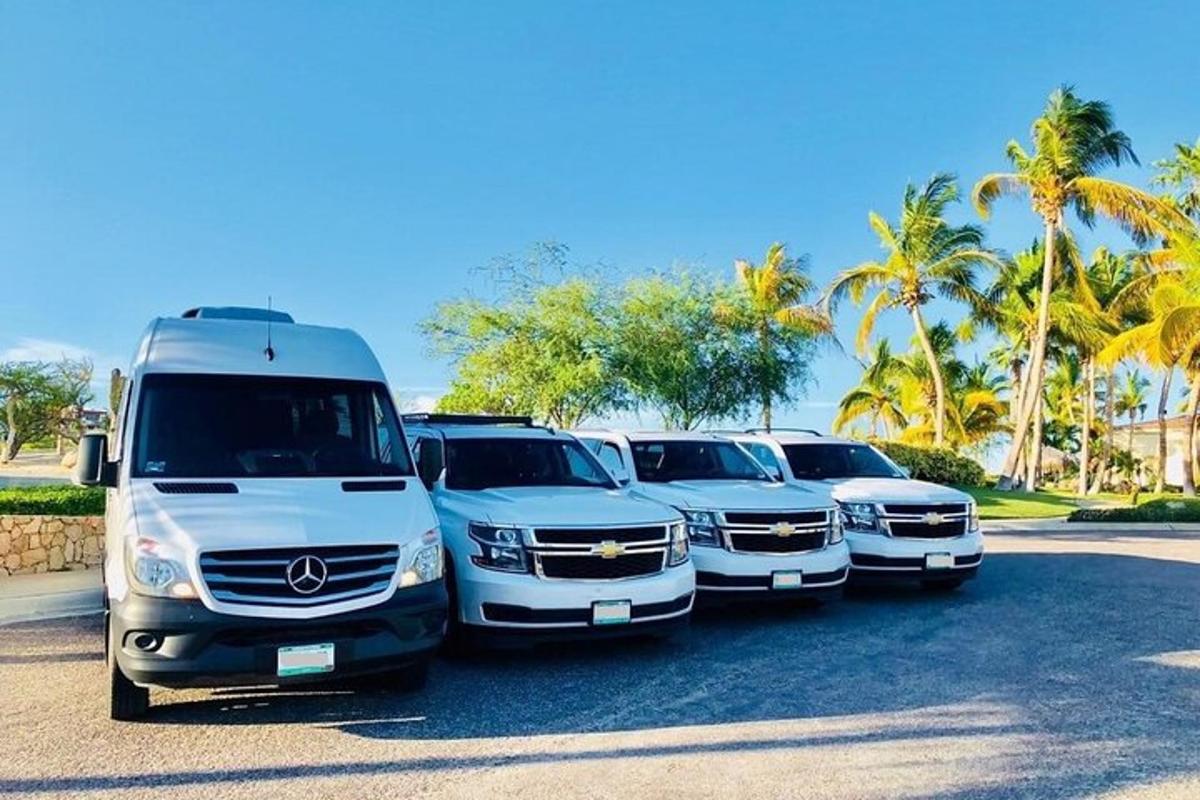 uma fileira de caminhões brancos estacionados em um estacionamento