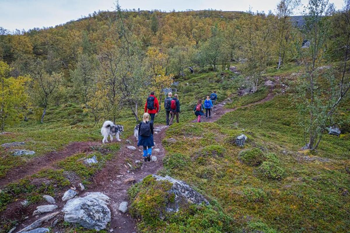 a group of people walking on a trail with a dog