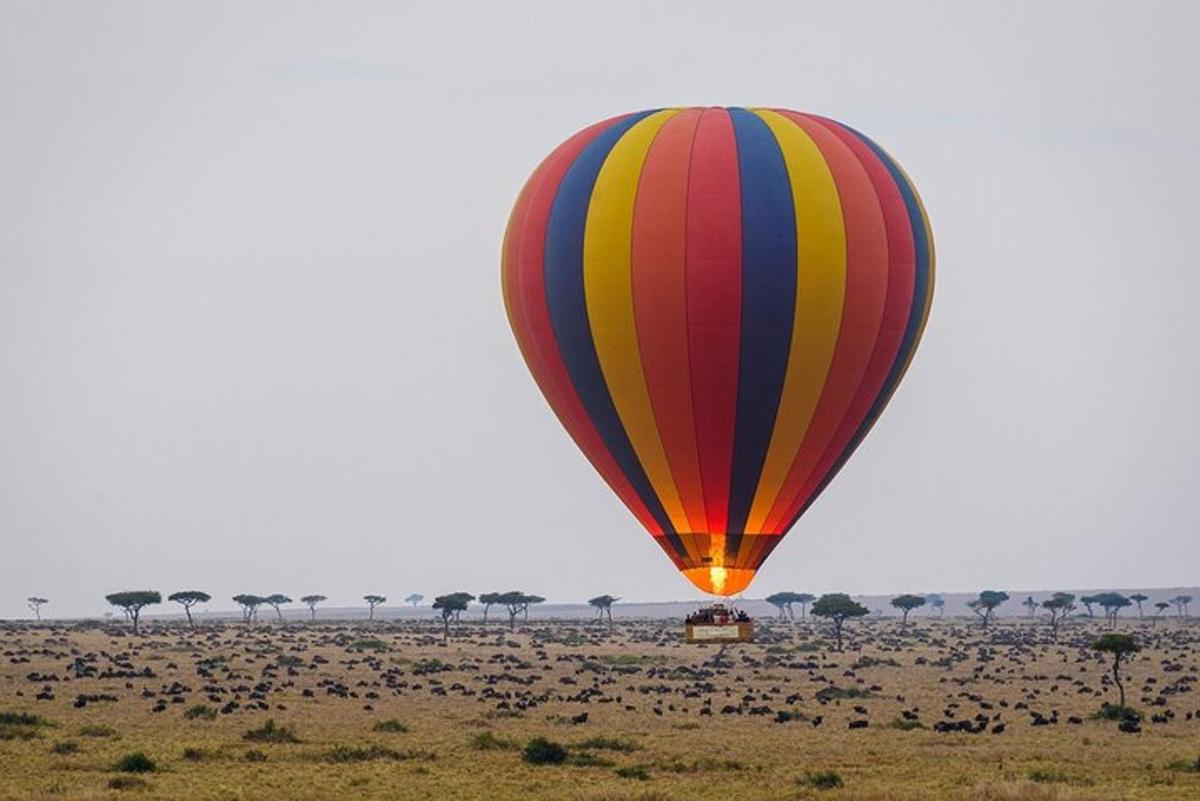 una mongolfiera che sorvola la savana africana